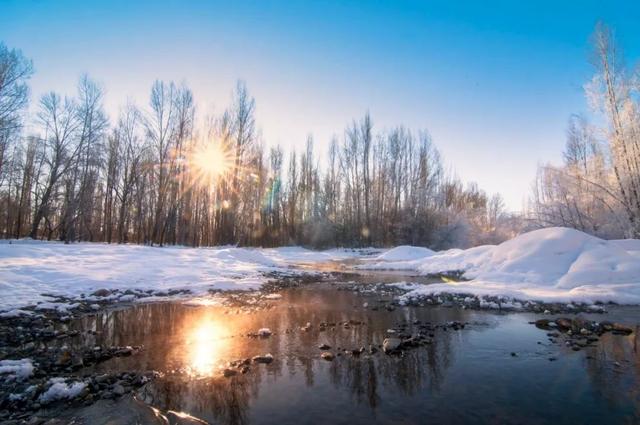 亭前垂柳珍重待春风什么意思，亭前垂柳珍重待春风（今日冬至：亭前垂柳珍重待春风）