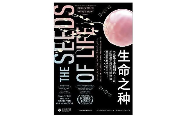 巫婆/自制情侣壁纸/今晚星闪闪 爱你心满满，巫师手机壁纸超清（只为证明人是从“蛋”里出生的图片）