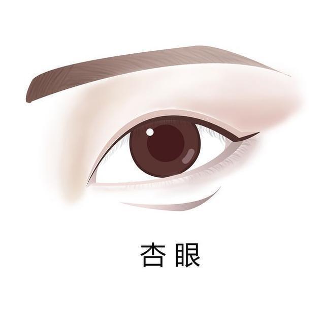世界上最美的五种眼睛，中国人常见几种眼型