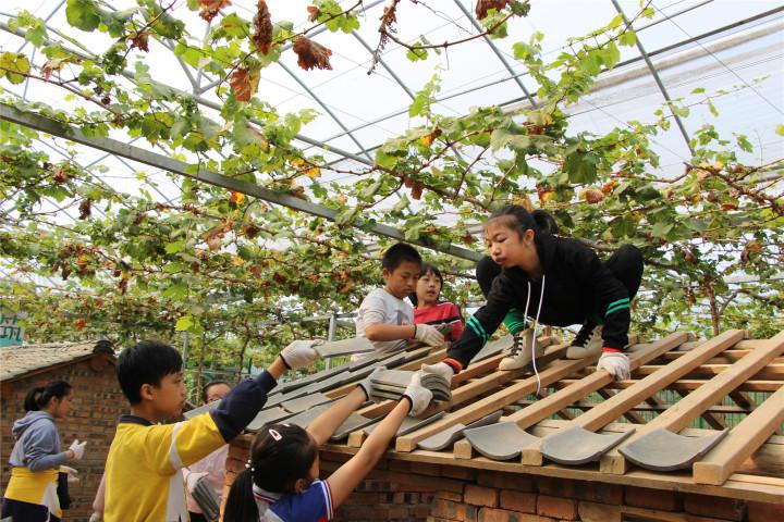 杭州市上城区少年宫（立德树人）