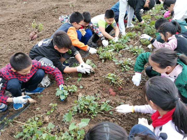 杭州市上城区少年宫（立德树人）