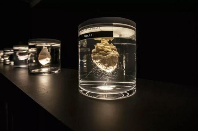 科学与技术有什么关系，科学与技术的关系（浅析艺术与科技的关系）