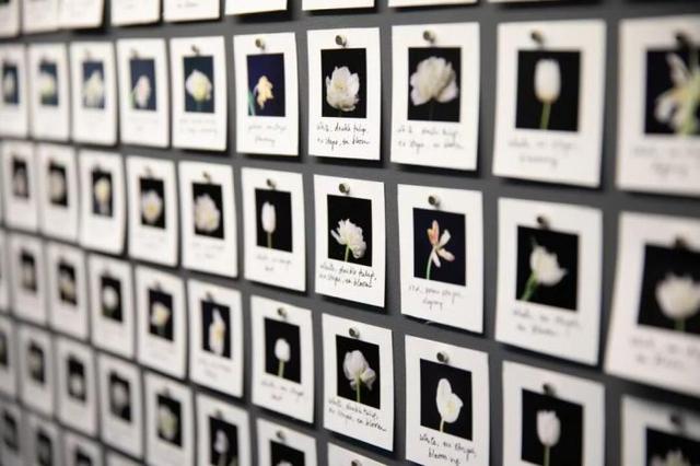 科学与技术有什么关系，科学与技术的关系（浅析艺术与科技的关系）