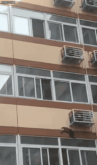 北京工业职业技术学院宿舍，北京工业职业技术学院怎么样（网友：大圣，快收了神通吧）