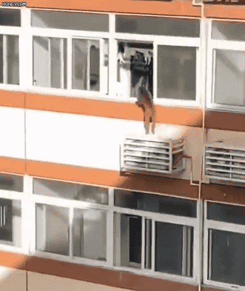 北京工业职业技术学院宿舍，北京工业职业技术学院怎么样（网友：大圣，快收了神通吧）