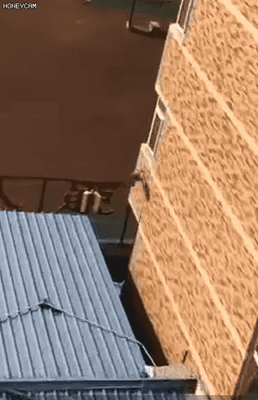 北京工业职业技术学院宿舍，北京工业职业技术学院怎么样（网友：大圣，快收了神通吧）