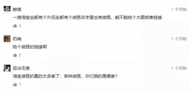 公袋鼠有袋子吗，公袋鼠有袋子还是母袋鼠有袋子（为什么每个国产暖宝宝上都印着各种袋鼠）