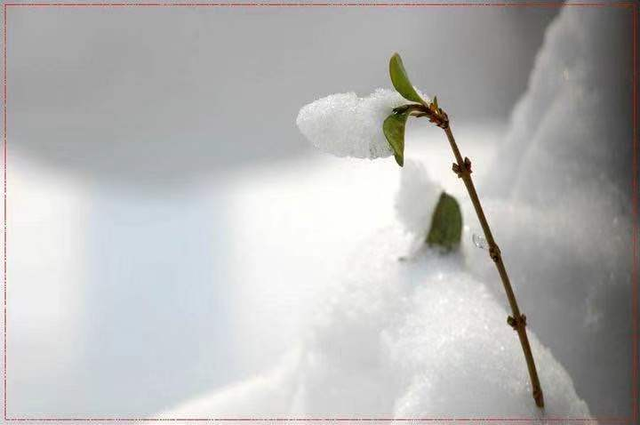 碘化银什么颜色，雪：我不是自愿下的