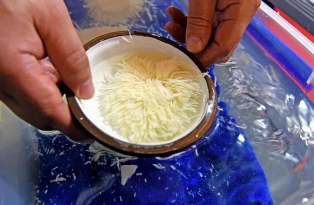 淮南有什么好玩的地方，淮安哪里有好玩的地方（淮南豆制品展销会28个项目集中签约）