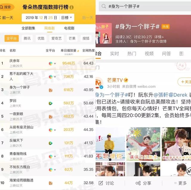 伊娃阮东升是什么电视剧，阮东升和伊娃是哪部电视剧（轻喜剧《身为一个胖子》）