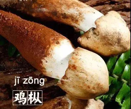 棹怎么读音，这些字，你念错了吗