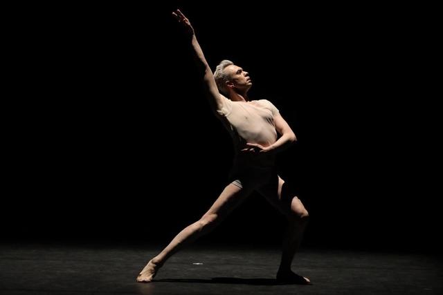 卢塞恩造型与艺术学院入学要求是什么，新京报年度演出榜投票丨2019最佳演出