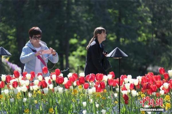 我要去旅行网，有哪个网站比较可靠吗（2020，跟随体育去旅行）