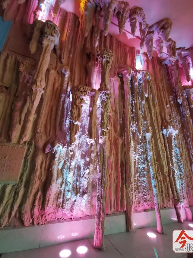 中国梦想秀约德尔，蔡美丽好美丽（男子把家装修成溶洞，网友吵翻）