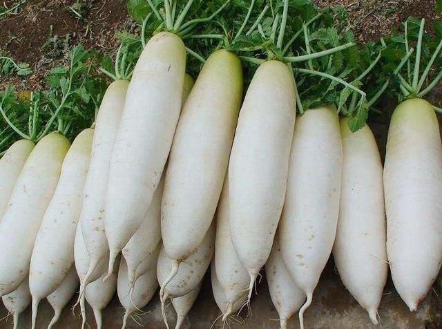 冬瓜煲汤的功效与作用，冬瓜煲汤有什么营养价值（这6种食材效果好）