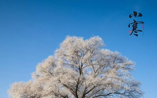 照拂一般什么时候用，照拂的意思是什么（今日小寒：天寒雪飘，唯愿君安）