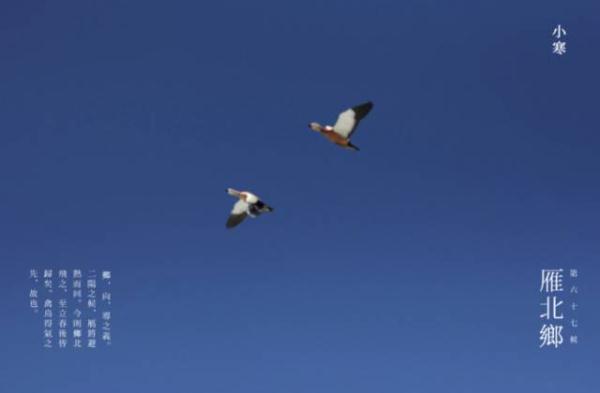 照拂一般什么时候用，照拂的意思是什么（今日小寒：天寒雪飘，唯愿君安）