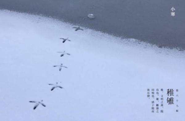 照拂一般什么时候用，照拂的意思是什么（今日小寒：天寒雪飘，唯愿君安）