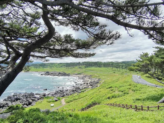 日本好玩的地方，日本有什么好吃的好玩的地方（日本6个绝美海岸等你解锁）