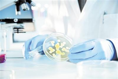 出现超级细菌的主要原因，常见的超级细菌（我科学家从抗菌肽找到思路）