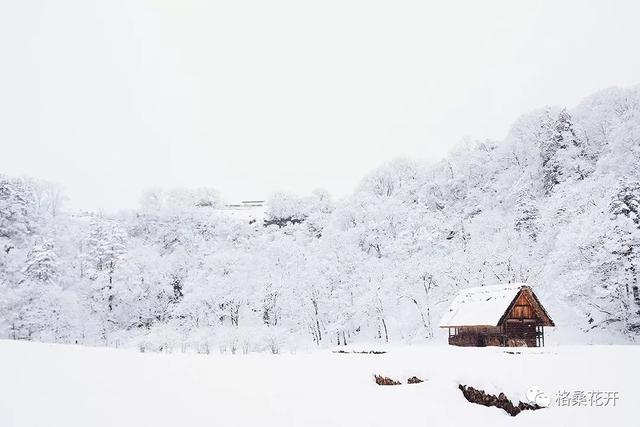 笺言和箴言意思，真言和箴言是什么意思（高原诗会：斯朗拥宗）