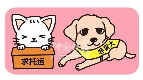 52度白酒可以过安检吗，52度白酒可以过安检吗广州南站到佛山坐几号地铁（告诉你这些东西火车上不能带）