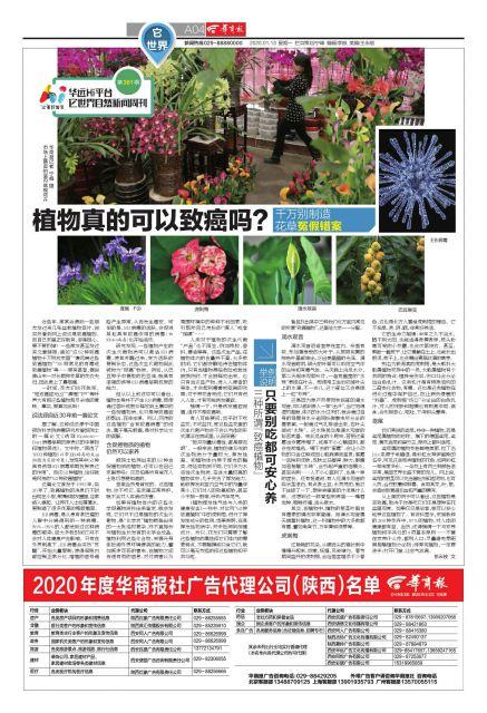 扁竹兰的种植方法，扁竹兰怎么种（华远Hi平台它世界自然新闻周刊第361期）