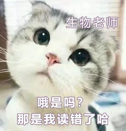 莘莘是什么意思，莘莘学子中的