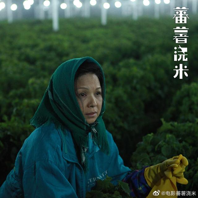 如何评价电影番薯浇米，电影蕃薯浇米（《蕃薯浇米》主演杨贵媚）