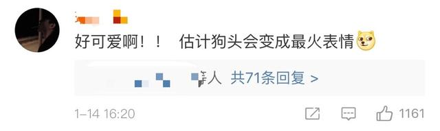 最吉利旺财的微信名，女人最旺财的微信名字招财（新年“旺财”微信表情上新）