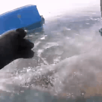 三九四九冰上走，三九四九冰上走谚语是什么意思（三九四九冰“下”走）