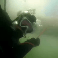 三九四九冰上走，三九四九冰上走谚语是什么意思（三九四九冰“下”走）