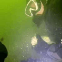 三九四九冰上走，三九四九冰上走谚语是什么意思（三九四九冰“下”走）