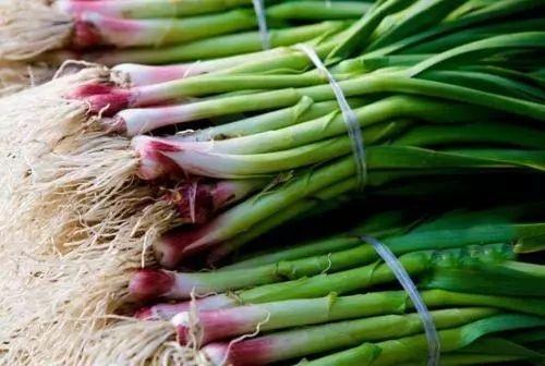 絮怎么读，絮怎么读什么意思（你知道益阳话里的“絮”“须”“催”怎么读吗）