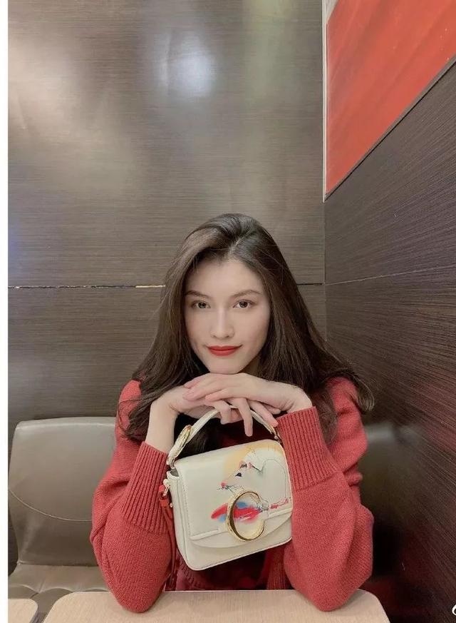 elle包包怎么样，elle是什么牌子的包包（值得入手的大牌包）