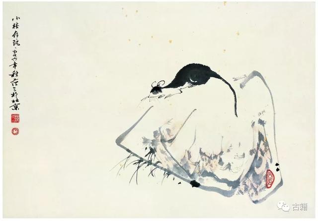 侧目相视是什么意思，侧目而视什么意思（万建中：鼠年说鼠）