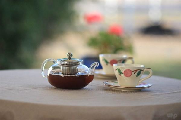 红茶的功效和作用，陈皮红茶的功效和作用（冬季喝红茶可以解疲养颜）