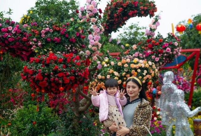 玉翁代表的花语，玉翁有什么寓意（这个春节最火的打卡点就是它）