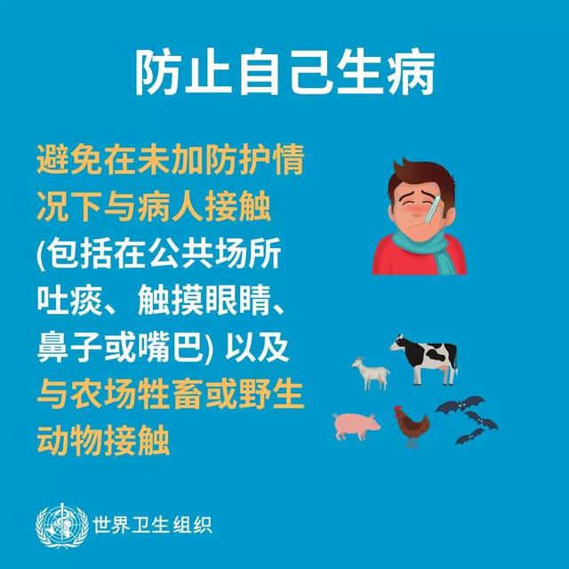 什么是冠状病毒，什么是冠状病毒手抄报内容（什么是新型冠状病毒）