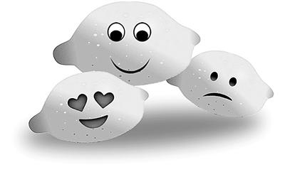 艾蒿是什么，2019年网络流行语来了（艾蒿是什么植物）