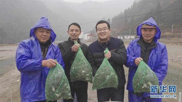 梦见自己穿高跟鞋，梦见穿高跟鞋什么意思呢（有最温暖的你——安徽省“第一书记”的新春坚守）