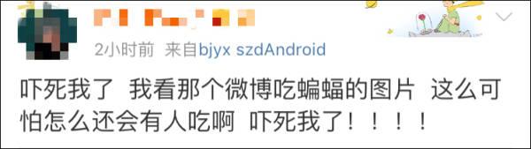 蝙蝠吃什么食物，“美女吃蝙蝠”视频引疯传（蝙蝠吃什么食物英语）