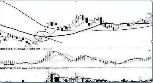 股票ma5代表什么意思，股票ma啥意思（合格的投资者必须要懂的指标）
