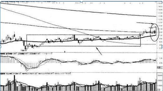 股票ma5代表什么意思，股票ma啥意思（合格的投资者必须要懂的指标）