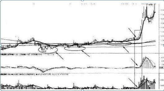 股票ma5代表什么意思，股票ma啥意思（合格的投资者必须要懂的指标）