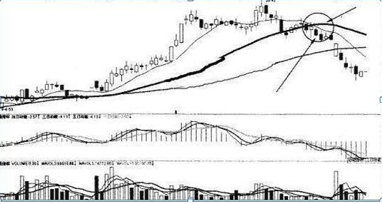 股票ma5代表什么意思，股票ma啥意思（合格的投资者必须要懂的指标）