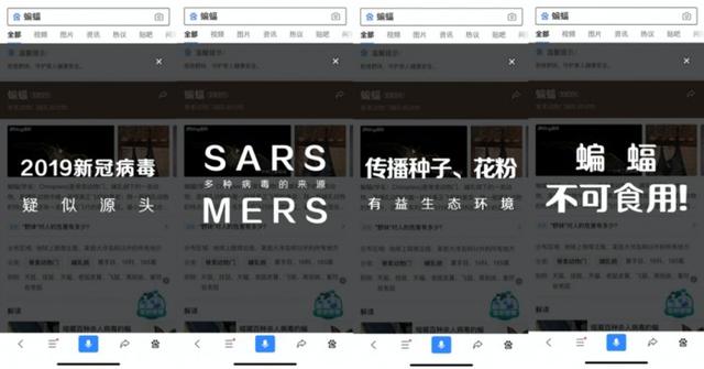 野生动物都有什么动物，野生动物都有什么动物名称（蝙蝠、果子狸、穿山甲……还有哪些野生动物带有可传人病毒）