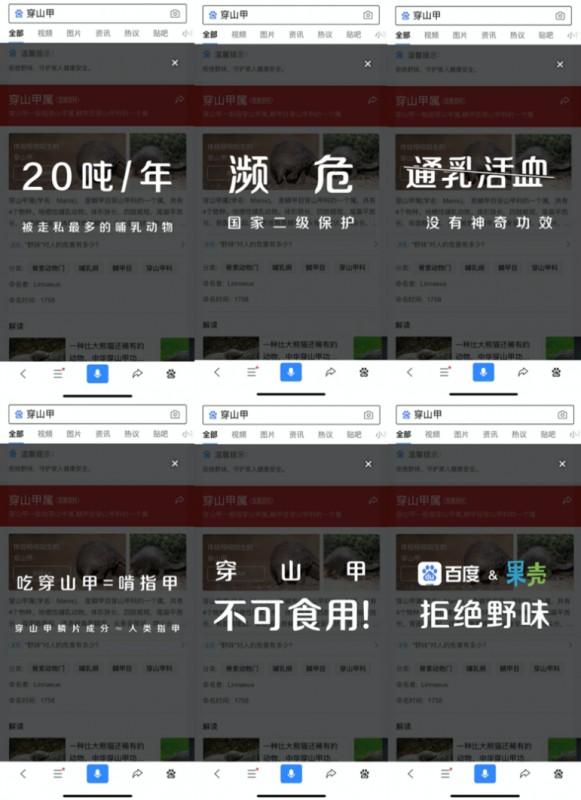野生动物都有什么动物，野生动物都有什么动物名称（蝙蝠、果子狸、穿山甲……还有哪些野生动物带有可传人病毒）