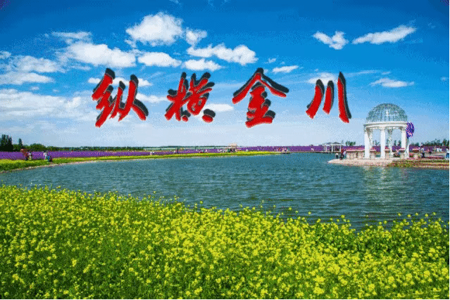 美术社团老师简介，金川区美术馆少儿绘画班教师丨南长龙简介