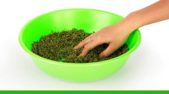 如何钓草鱼，怎样钓大草鱼（这些技巧不容钓友忽视）